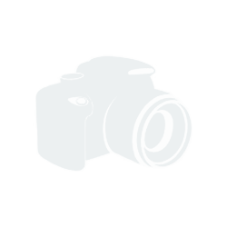 ZST-Dev-Fixed-1